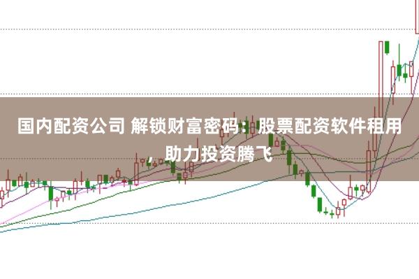 國(guó)內(nèi)配資公司 解鎖財(cái)富密碼：股票配資軟件租用，助力投資騰飛