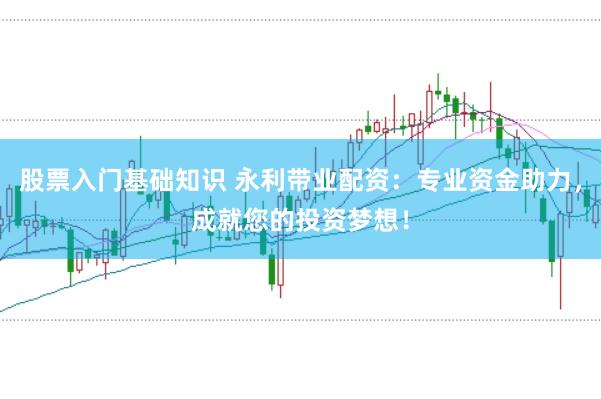 股票入門基礎知識 永利帶業配資：專業資金助力，成就您的投資夢想！