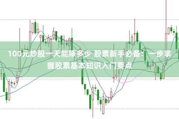 100元炒股一天能賺多少 股票新手必備：一步掌握股票基本知識入門要點