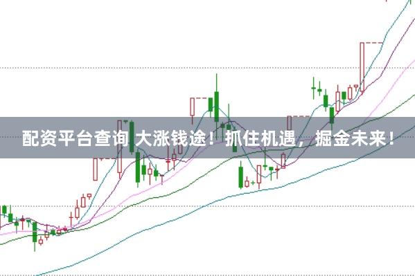配資平臺查詢 大漲錢途！抓住機遇，掘金未來！