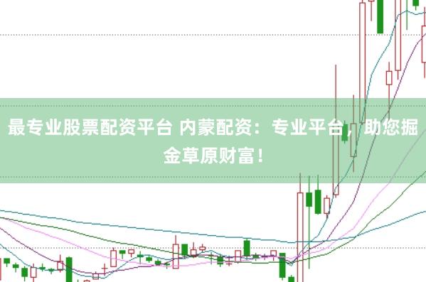 最專業股票配資平臺 內蒙配資：專業平臺，助您掘金草原財富！